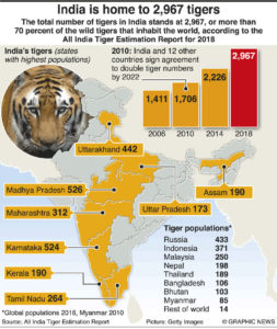 Tiger Safari India | Wildlife Tour India